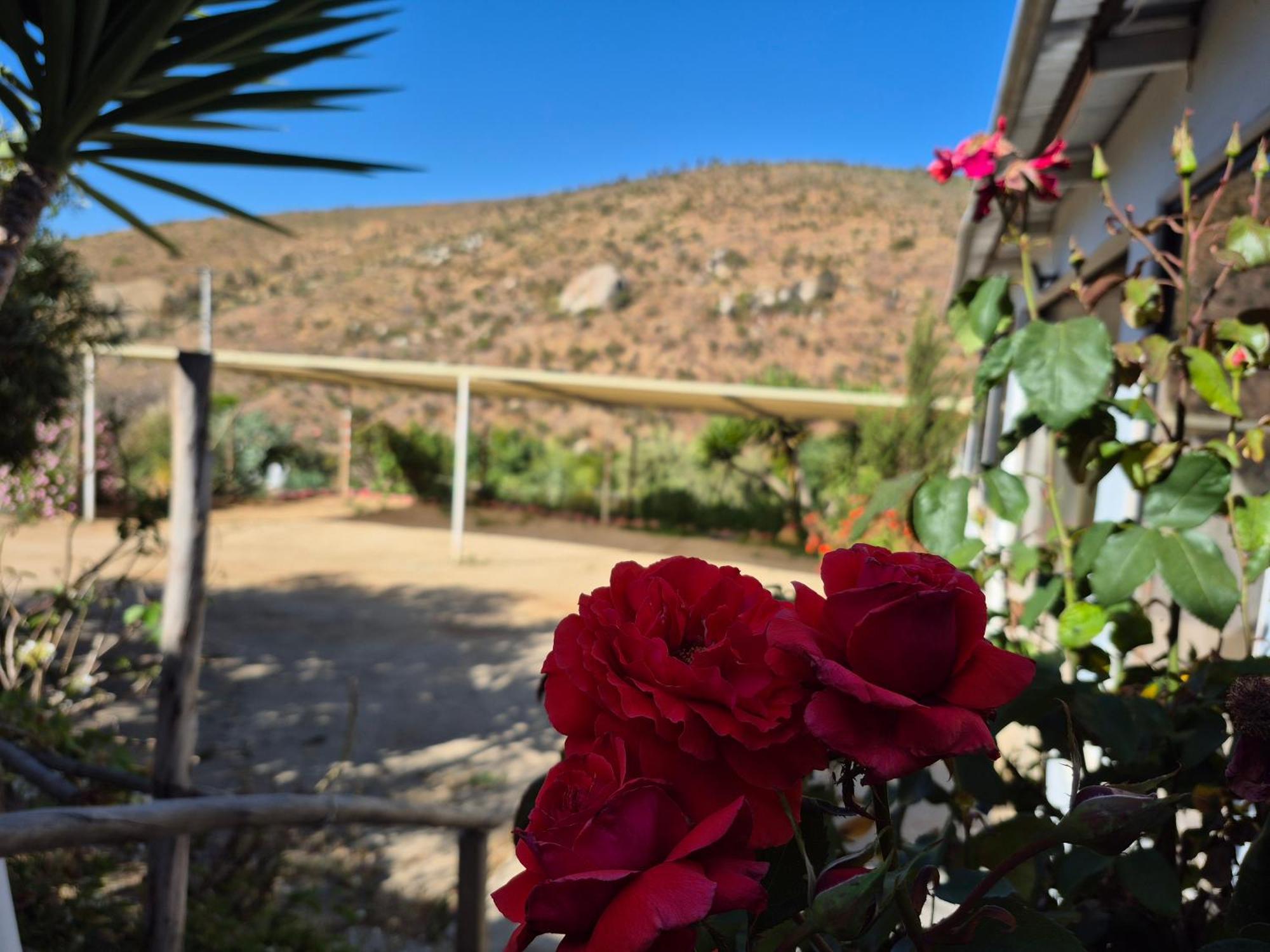 Hostal Los Almendros Canela Baja Exterior photo