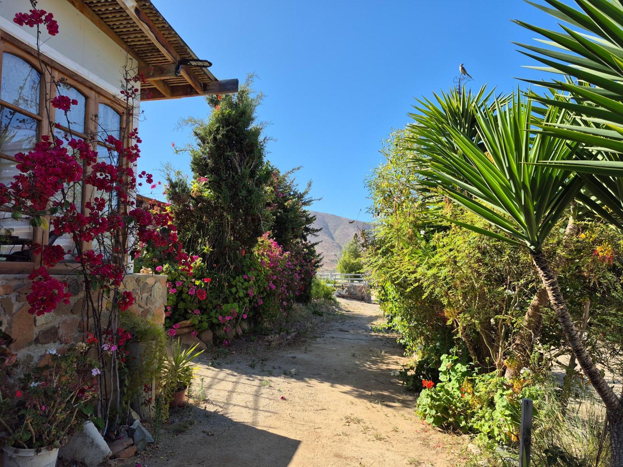 Hostal Los Almendros Canela Baja Exterior photo